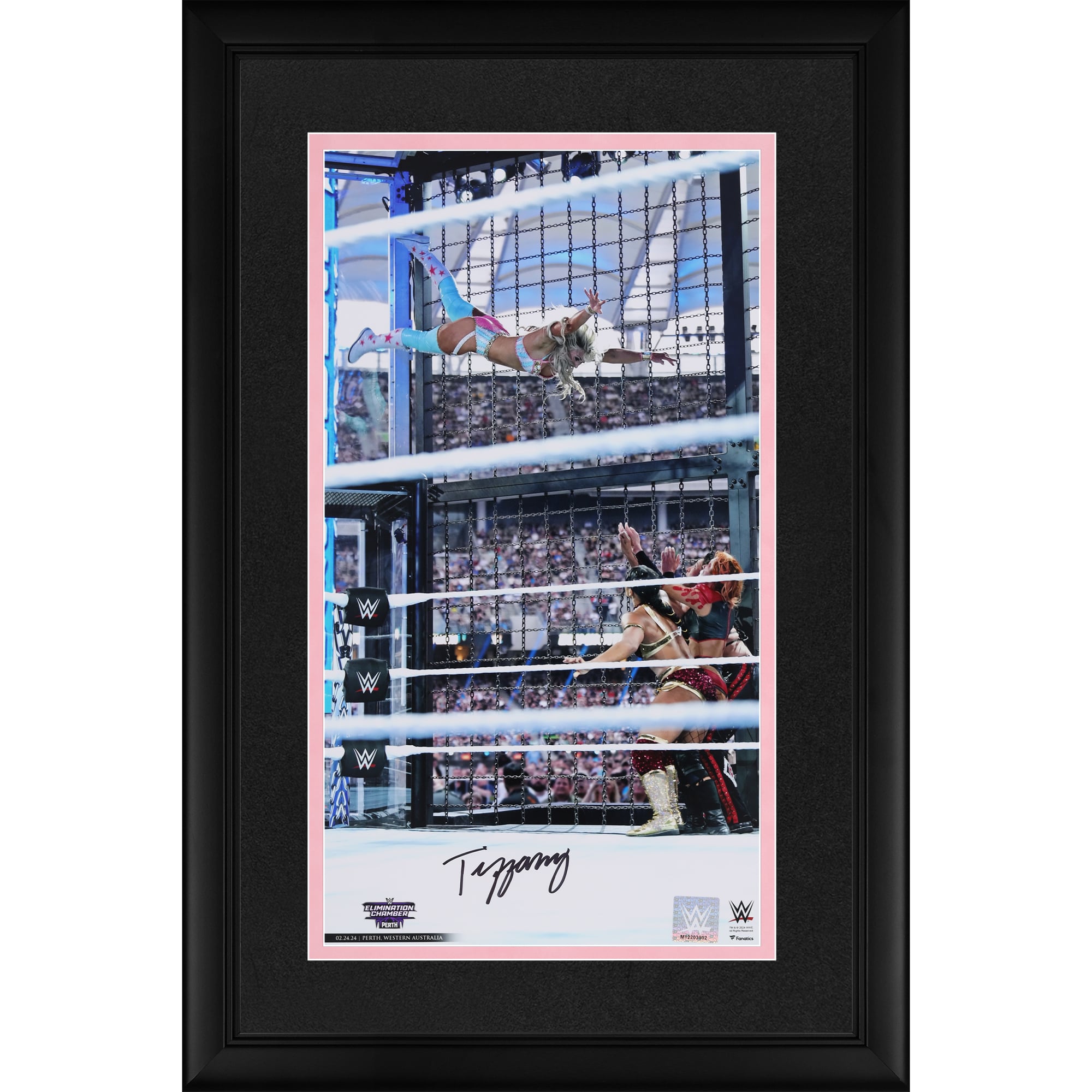 Tiffany Stratton WWE Autographed Framed 10″ x 18″ Elimination Chamber Swanton Photograph Tiffany Stratton WWE Autographed Framed 10″ x 18″ Elimination Chamber Swanton Photograph